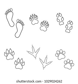 prints of traces of people and animals on a white background