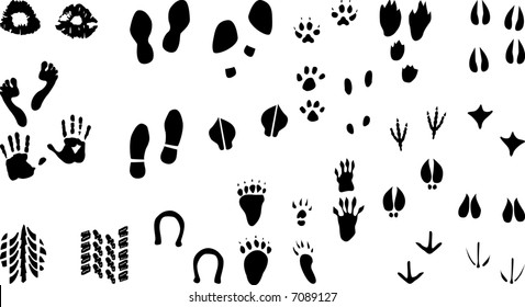 530 Rodent Footprints Images, Stock Photos & Vectors | Shutterstock