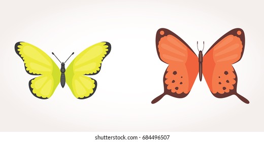 Printset of colorful Butterfly Vector Design Illustration. summer insect