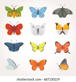 Printset of colorful Butterfly Vector Design Illustration. summer insect