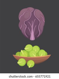 PrintSet vector Cabbage and Lettuce. Vegetable green broccoli, kohlrabi, other different cabbages.