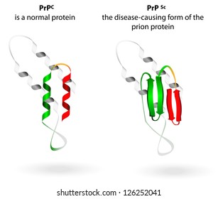 Prion An Composed Of Protein In A Misfolded Form . Prions Are Responsible For The Transmissible Mad Cow Disease. All Known Prion Diseases Are Currently Untreatable And Fatal.