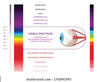 Prism Light Spectrum Infographics With Vertical Color Palette And Human Eye Image With Range And Text Vector Illustration