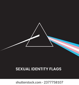 banderas de identidad sexual de la comunidad lgbtiq+