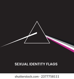 banderas de identidad sexual de la comunidad lgbtiq+
