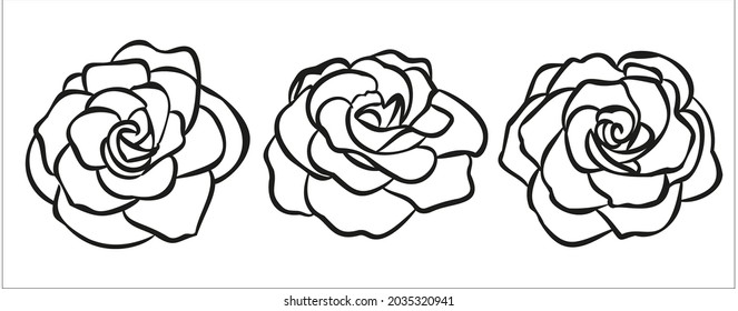 Prity flower for wedding card or logo Roses flower hand drawn 