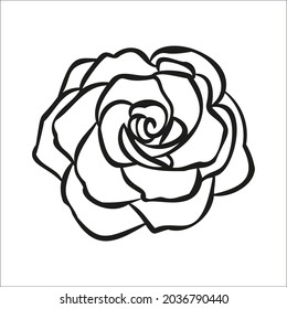 Prity flower for wedding card or logo Roses flower hand drawn, line art 