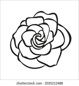 Prity rose flower for wedding card or logo Roses flower hand drawn ink drawn