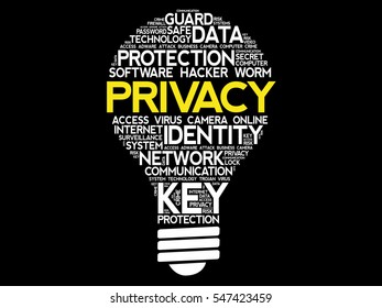 PRIVACY bulb word cloud collage, business concept background