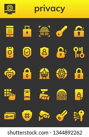 privacy icon set. 26 filled privacy icons.  Simple modern icons about  - Password, Antivirus, Padlock, Fingerprint, Key, Unlocked, Shield, Security, Lock, Encryption, Censor, Locker