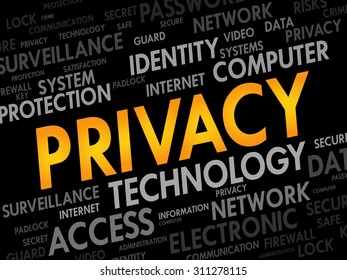 PRIVACY word cloud, business concept