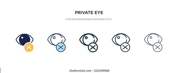 private eye icon in different style vector illustration. two colored and black private eye vector icons designed in filled, outline, line and stroke style can be used for web, mobile, ui