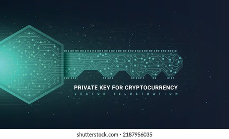 Private key for cryptocurrency. Modern technologies and digital world. Blockchain, protection of personal data online, security. Poster or banner for website. Realistic 3D vector illustration