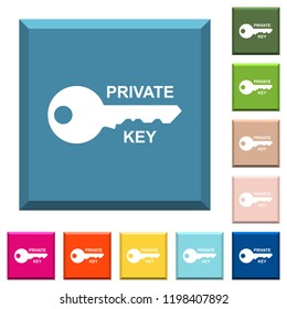 Private key white icons on edged square buttons in various trendy colors