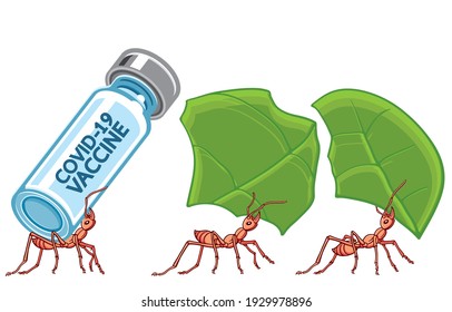 Privilege or priority to access Coronavirus vaccine and vaccination campaign during coronavirus pandemic Concept. Illustration, shape, line, art, graphic and animal in vector isolated on background.