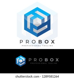 Pro Box P Letter Logo