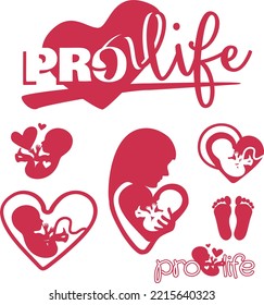 Pro Life, Anti-abortion, Embryo, Package 