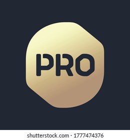 Pro Logo vector on the gray background, Simple professional seal badge.