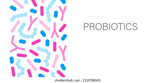 Probiotic Bacteria Banner. Gut Microbiota Border With Healthy Prebiotic Bacillus. Lactobacillus, Acidophilus, Bifidobacteria And Other Microorganisms For Biotechnology.