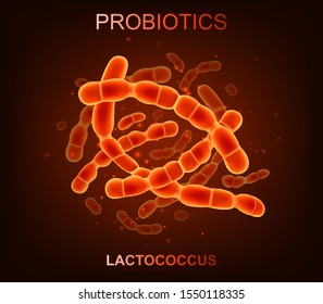 Probiotic bacteria. Good microorganisms concept isolated on black background. Vector realistic lactococcus