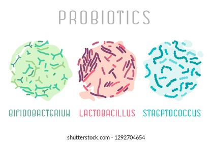 Probiotic bacteria icon, Lactobacillus, bifidobacterium, streptococcus. Food and healthy nutrition  concept. Editable vector illustration in pink, green, blue colors isolated on a white background.