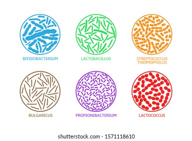 Probiotic bacteria icons. Live microorganisms promoted with claims that they provide health benefits when consumed, generally by improving or restoring the gut flora