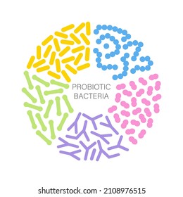 Probiotic Bacteria Set In Circle. Gut Microbiota With Healthy Prebiotic Bacillus. Lactobacillus, Streptococcus, Bifidobacteria And Other Microorganisms For Biotechnology.