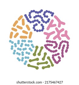 Probiotic bacteria types set in circle shape. Good microbiota with healthy prebiotic bacillus. Lactobacillus, streptococcus, bifidobacteria and other microorganisms. simple vector elements