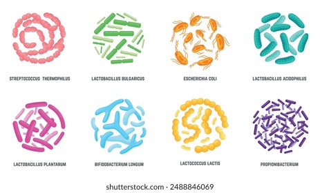 Bacteria probiótica. Microorganismo o bacteria útil en copa petri abstracta. Ayudas de la farmacia de la salud humana, flora de los probióticos, sistema de Vector neoteric del cuidado de la salud