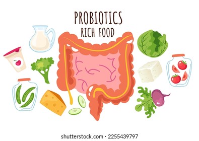 Probiotic fermented rich food vector infographics concept. Vector cartoon graphic design element illustration