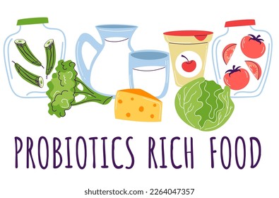 Probiotic fermented rich food vector infographics concept. Vector cartoon graphic design element illustration