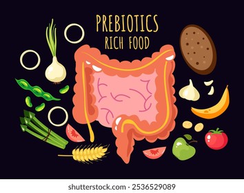 conceito infográfico rico em vetor alimentar fermentado probiótico. Ilustração de elemento de design gráfico de desenho animado vetorial