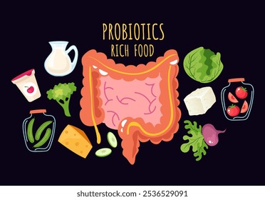 conceito infográfico rico em vetor alimentar fermentado probiótico. Ilustração de elemento de design gráfico de desenho animado vetorial