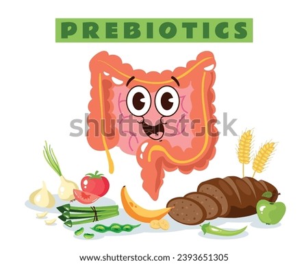 Probiotic fermented rich food vector infographics concept. Vector cartoon graphic design element illustration