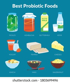 Probiotic Foods. Food Rich In Probiotics. Vector Illustration.