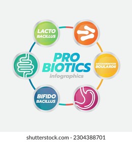 Probiotic Foods Good Bacteria Vector illustration. 