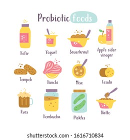 Probiotic foods hand drawn icons set