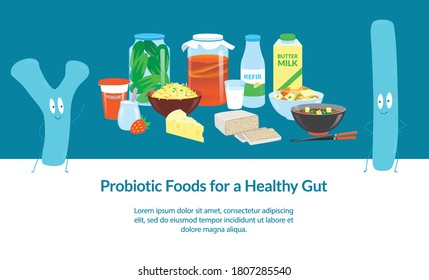 Probiotic Foods for a Healthy Gut. Banner template. Vector illustration.