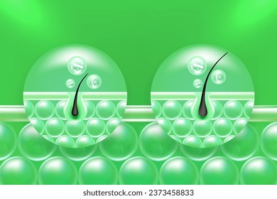 Probiotic and Hyaluronic acid before and after skin solutions ad, green collagen, and vitamin serum drops with cosmetic advertising background ready to use illustration vector.	