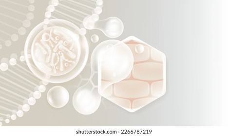 Probiotic and Hyaluronic acid skin solutions ad, white collagen, and vitamin serum drops with cosmetic advertising background ready to use illustration vector.	