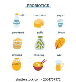 Probiotic product set. Fermented food for gut health. Products with lactobacilli, bifidobacteria. Vector illustration of kefir, yogurt, sauerkraut, pickles, kombucha, kimchi, miso soup, cheese, kvas