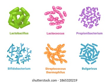 Probiotic set lactobacillus, lactococcus, propionibacterium, bifidobacterium, streptococcus thermophilus, bulgaricus isolated icons. Vector positive bacterium microorganisms, healthy microscopic cells