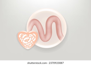 Probiotic solutions ad, white stomach in round shape, with cosmetic advertising background ready to use illustration vector.