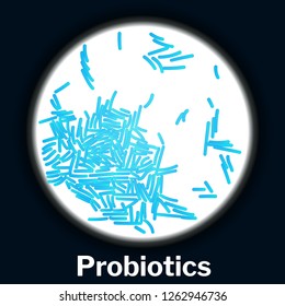 Probiotics bacteria colony in a petri dish, vector illustration