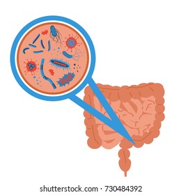 Probiotics bacteria concept. Stock vector illustration with different germs from intestine. Intestinal gut flora. Flat style.
