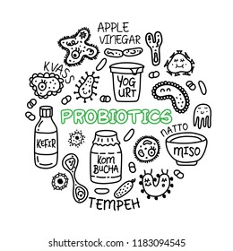 Probiotics bacteria, food and medicine set. Gut bacterial flora. Fermentation products. Vector icon and logo. Microbiology background. Healthy nutrition ingredients.