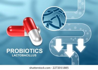 Probiotics banner template. Probiotic in capsule with digestive system. Microbiome elements with medical pill. Human health background. EPS10 vector