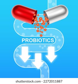 Probiotics banner template. Probiotic in capsule with digestive system. Microbiome elements with medical pill. Half parts with probiotics granules. EPS10 vector