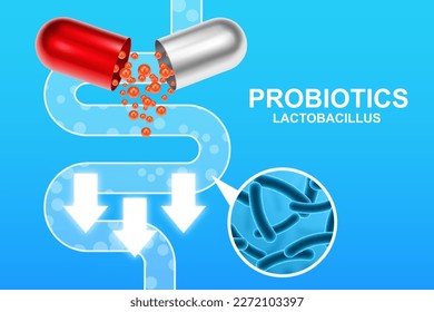 Probiotics banner template. Probiotic in capsule with digestive system. Microbiome elements with medical pill. Half parts with probiotics granules. EPS10 vector