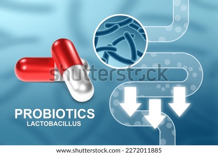 Probiotics banner template. Probiotic in capsule with digestive system. Microbiome elements with medical pill. Human health background. EPS10 vector